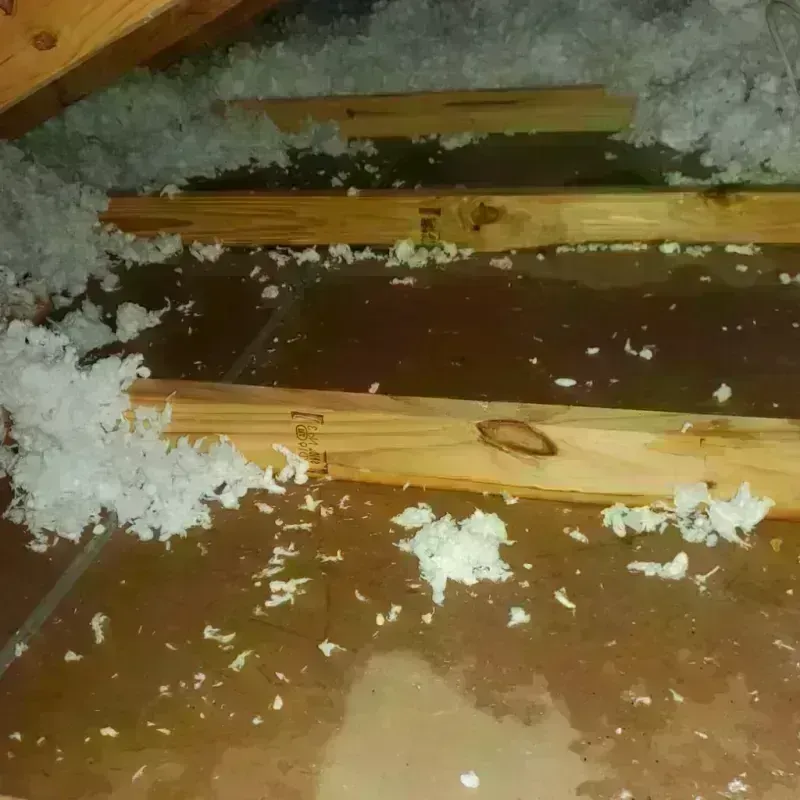 Attic Water Damage in Irwin, PA